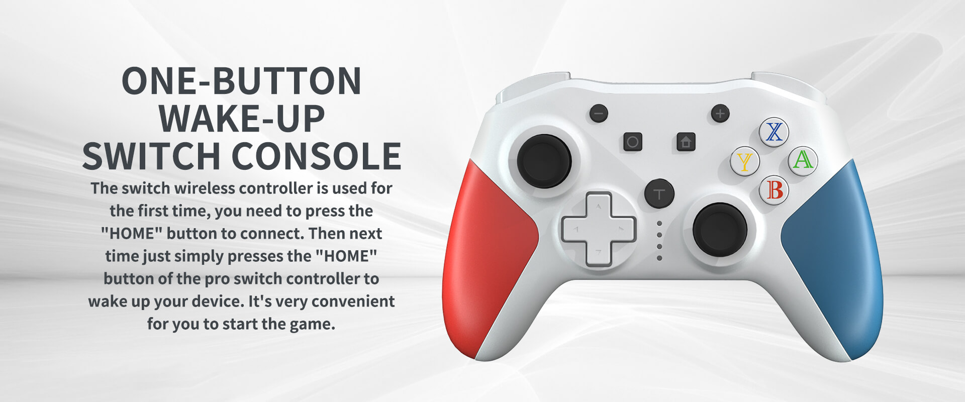 Nintendo Switch Controller-NS6